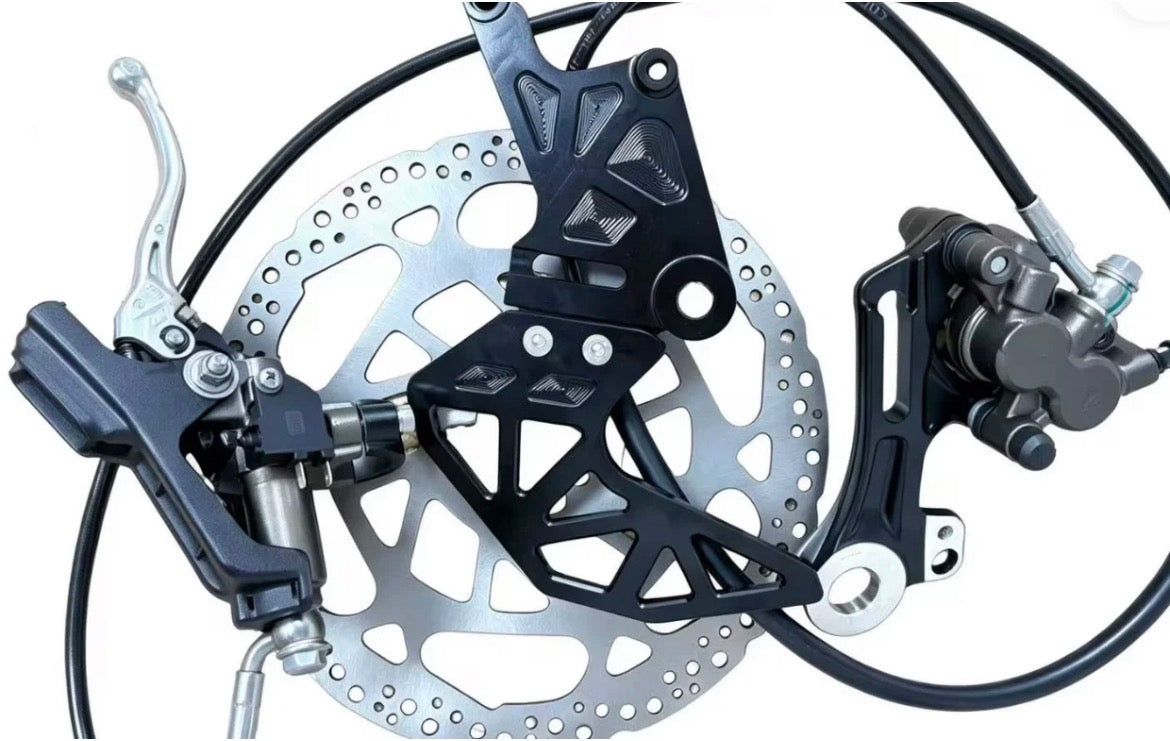 Surron Ultra Bee Brake kit for 79 falcon pro